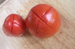 QT Tomatoes 004