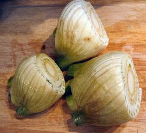 Fennel bulb 003