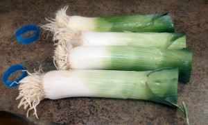 Leeks  048