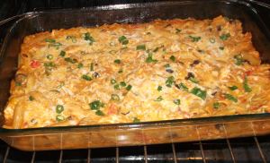 Chicken Enchilada Penne 030