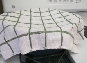 Homemade Ricotta 031