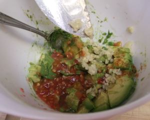 Guacamole 026