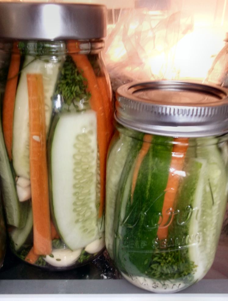 Crunchy Refrigerator Dill Pickles 016