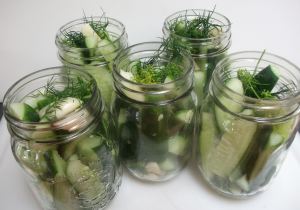 Dill pickles 010