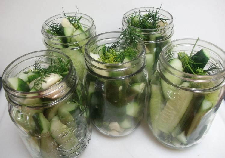 Dill pickles 010