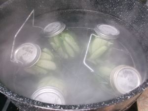 Dill pickles 015