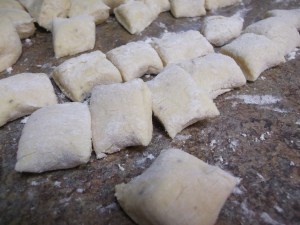Ricotta gnocchi 020