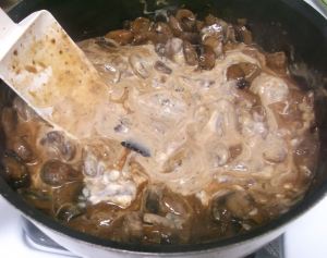 Beef Stroganoff 080