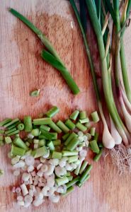 Green garlic